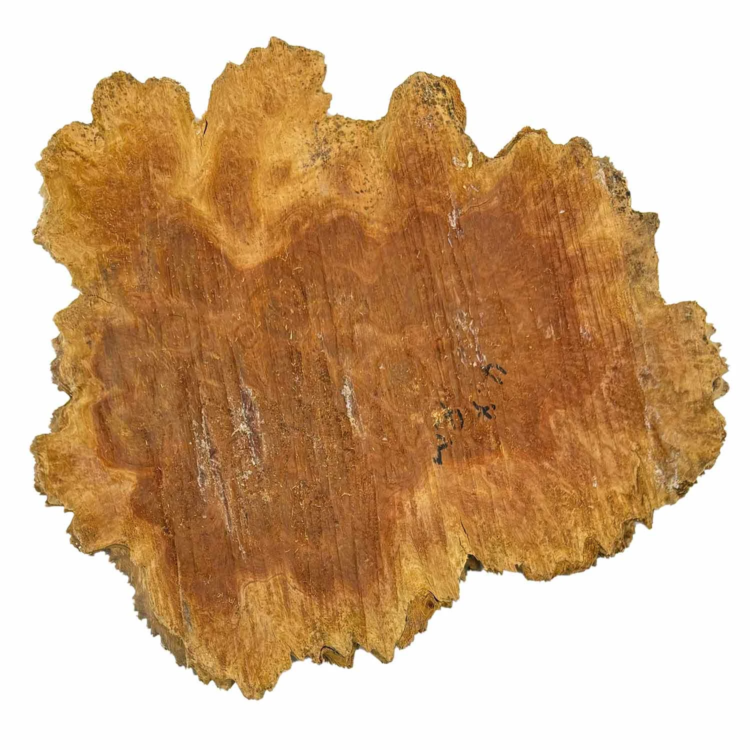Red Mallee Burl Cookies - 10" X 7" X 1-1/2" #1035 - Image 3