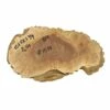 Red Mallee Burl Cookies - 10" X 5" X 1-1/4" #1039