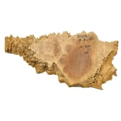 Red Mallee Burl Cookies - 22" X 11" X 1" #1077