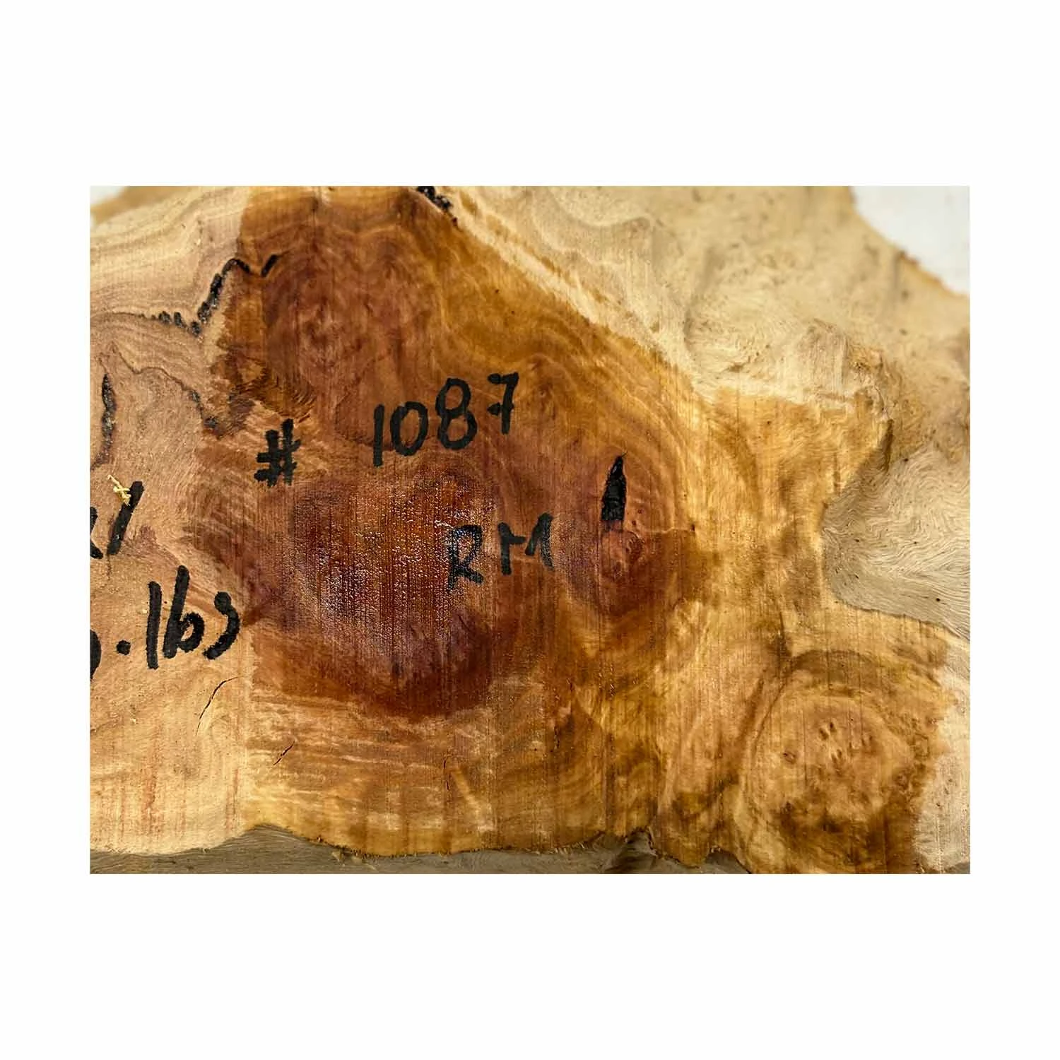 Red Mallee Burl Cookies - 10" X 5" X 1" #1087 - Image 4