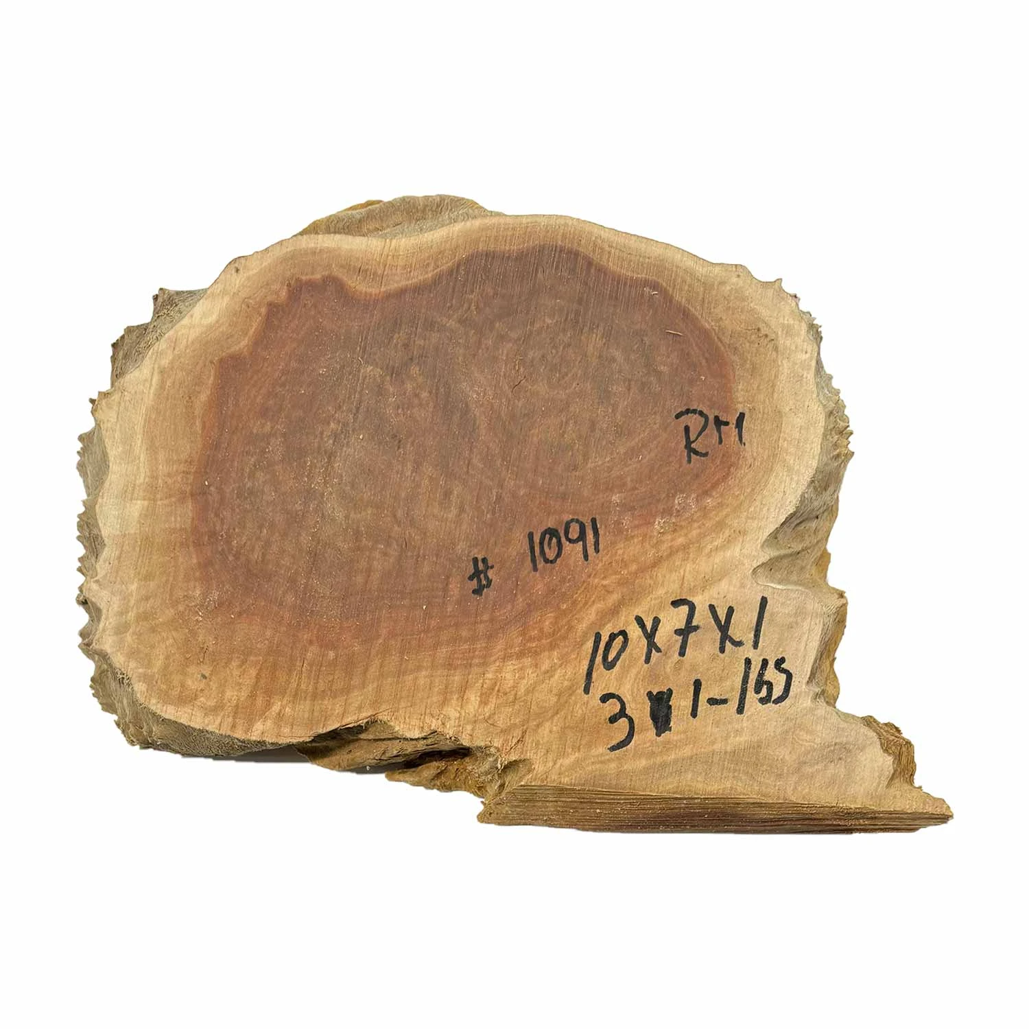 Red Mallee Burl Cookies - 10" X 7" X 1" #1091
