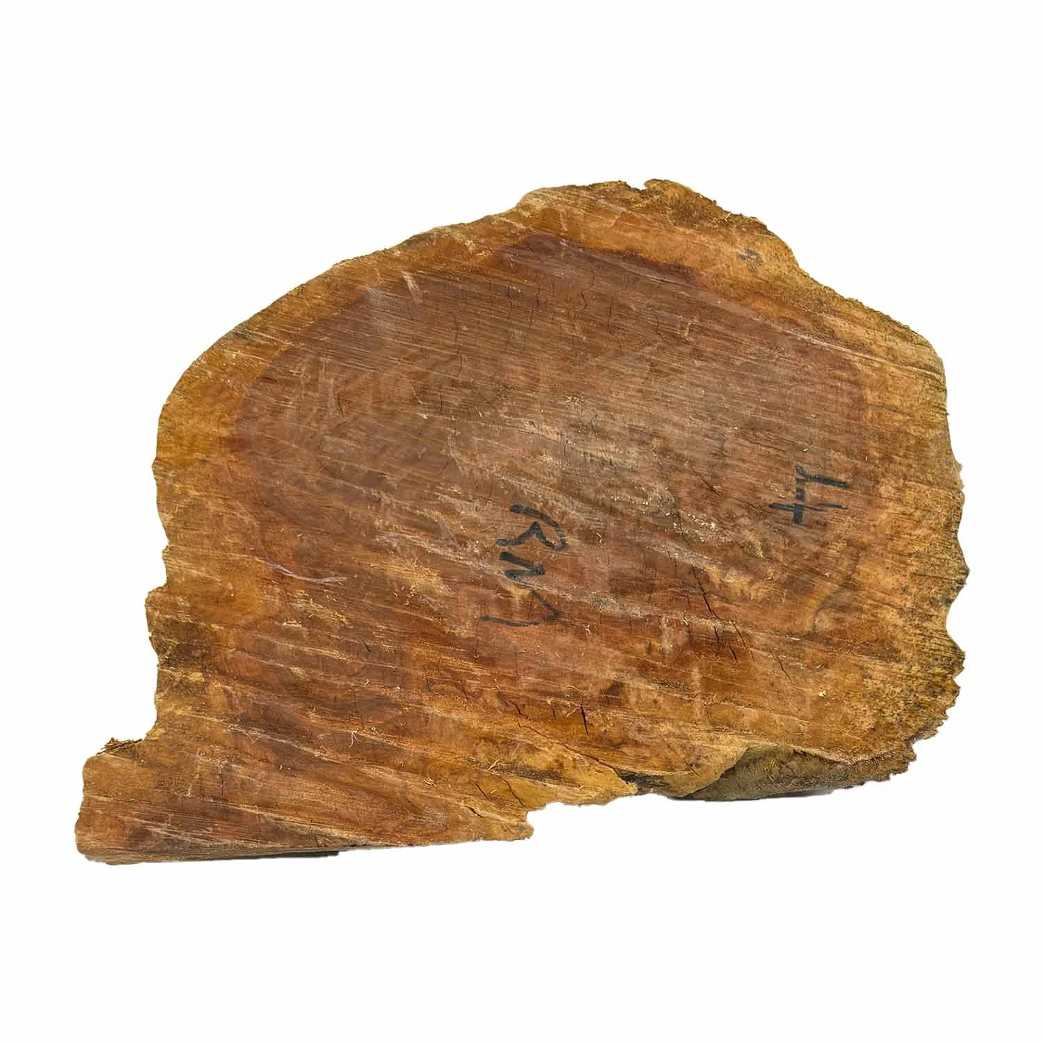 Red Mallee Burl Cookies - 10" X 7" X 1" #1091 - Image 2