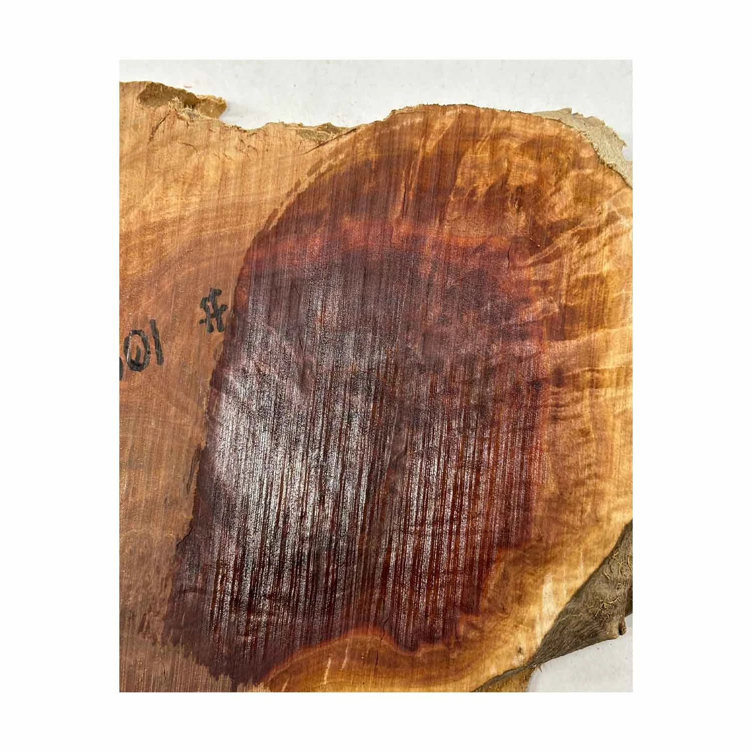 Red Mallee Burl Cookies - 10" X 7" X 1" #1091 - Image 3