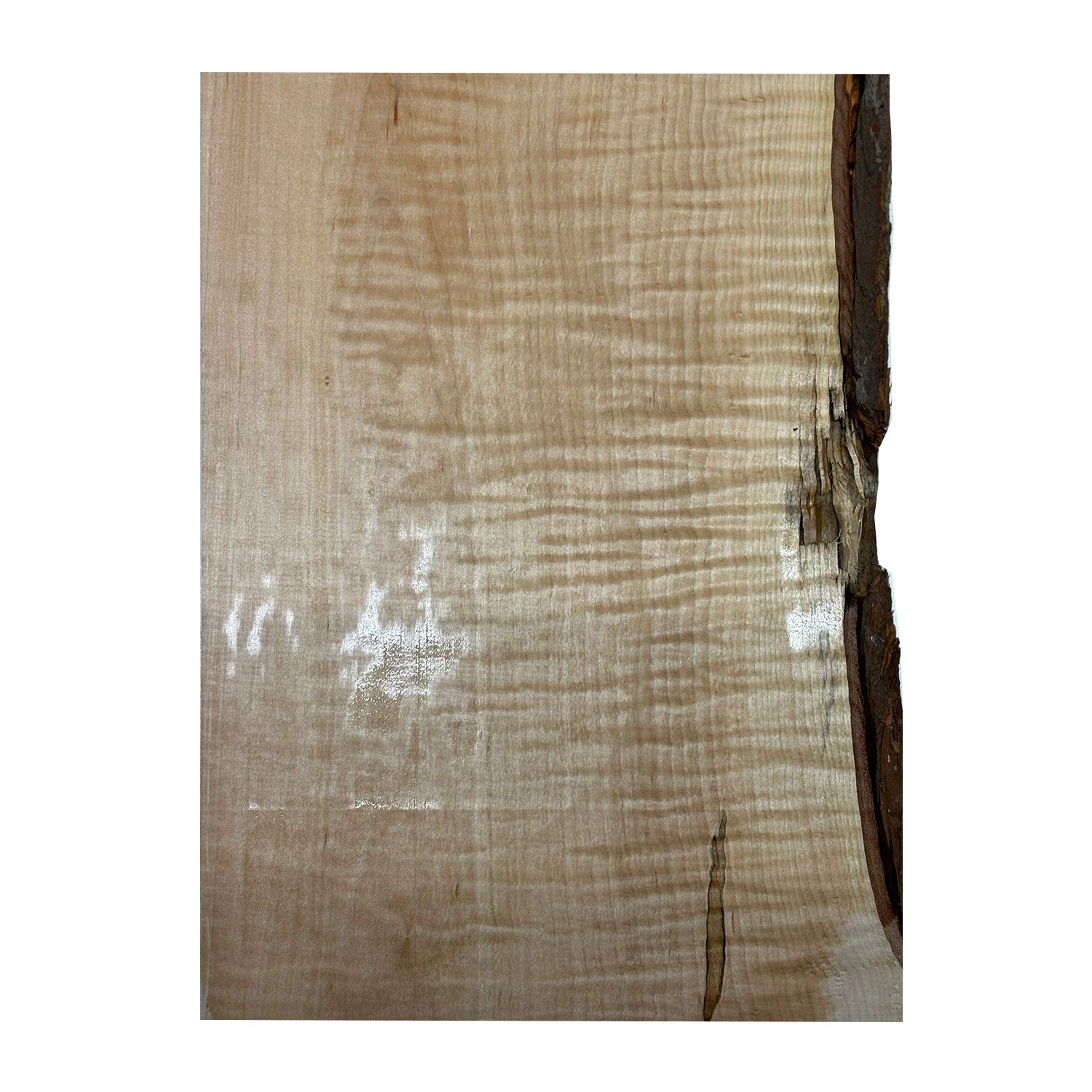 Flame Hard Maple Guitar Carved Top 22" X 8-1/2" X 1-1/4" #712 - Image 5