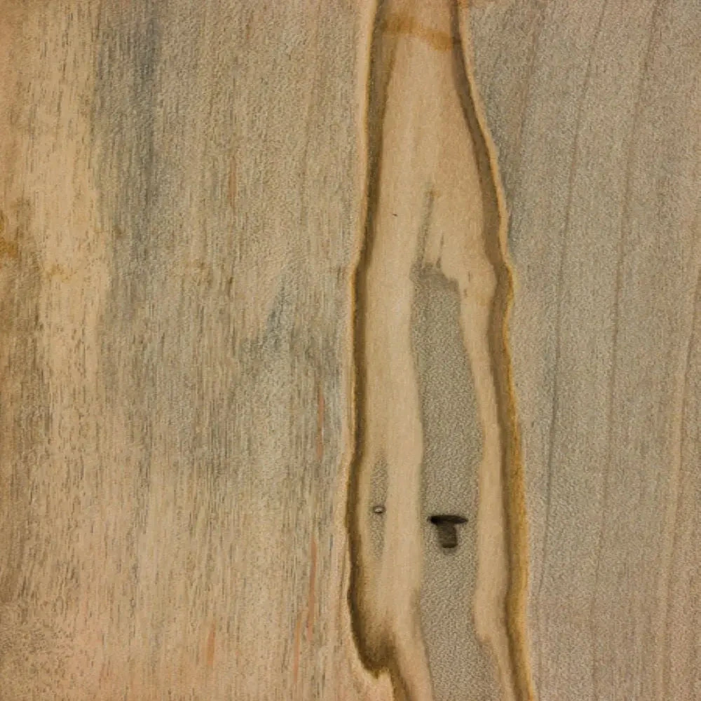 Ambrosia Maple Wood Veneer | Marquetry Inlay - 200mm X 100mm X 4mm - Image 3