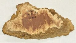 Red Mallee Burl Cookies - 16" X 8"x 1" #1001