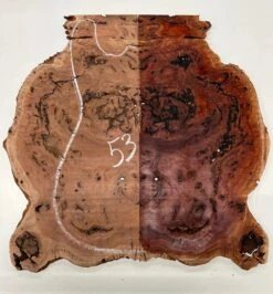 Australian Red Gum Burl Book Matched Guitar Drop Tops | 21" X 14" X 3/8" #53
