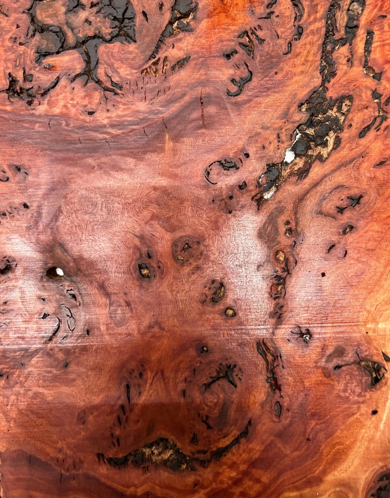 Australian Red Gum Burl Book Matched Guitar Drop Tops | 21" X 14" X 3/8" #53 - Image 2