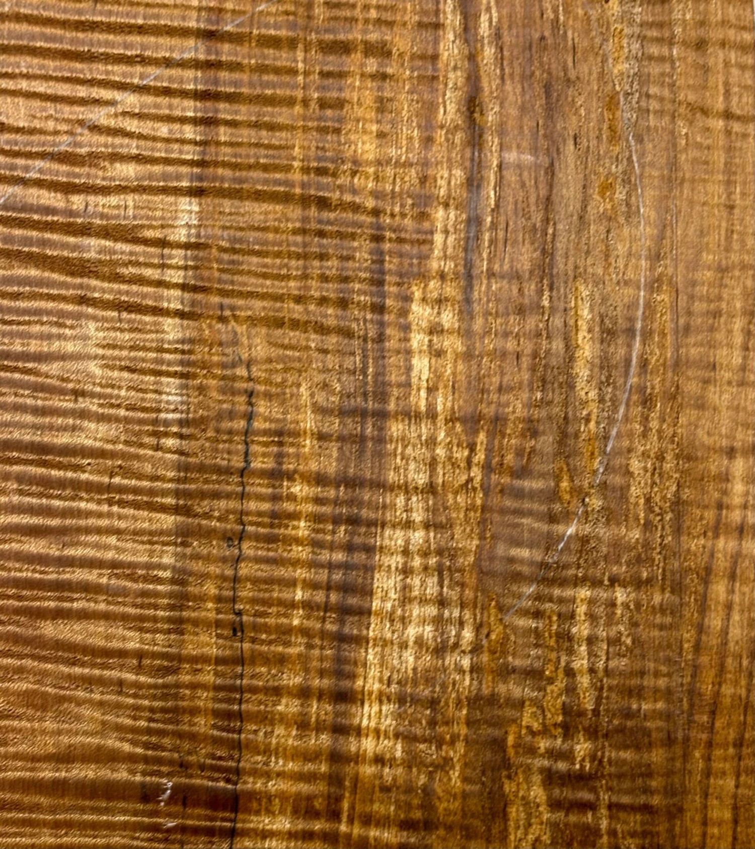 Flame Roasted Spalted Maple Bookmatched AAAA Grade Guitar Carved Top- 20-3/4" X 7-1/2" X 1-1/4" #217 - Image 4