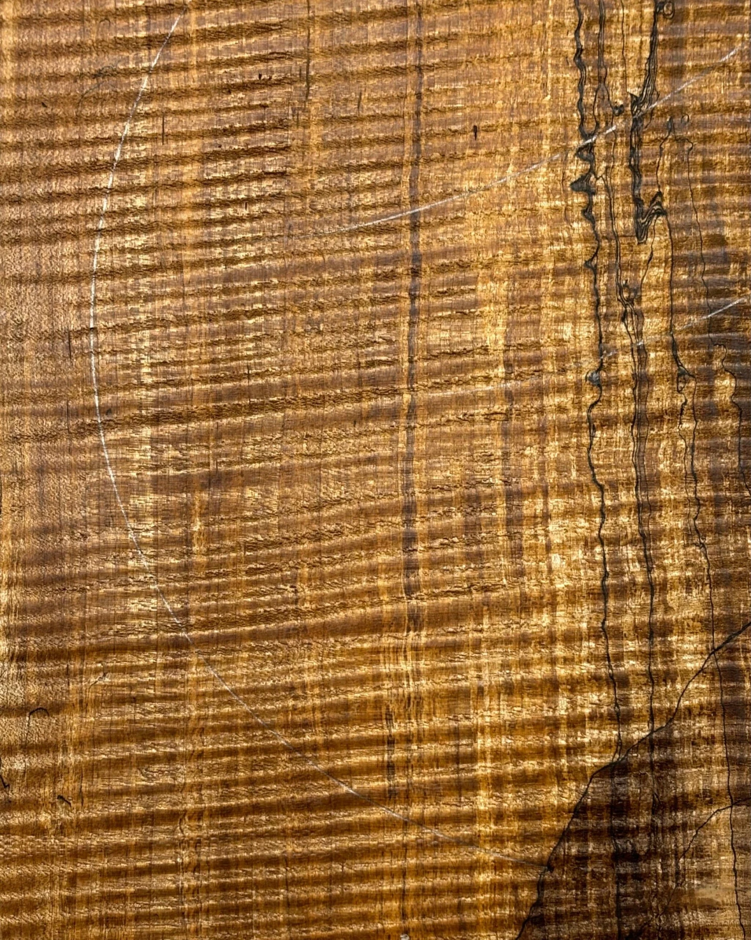 Flame Roasted Spalted Maple Bookmatched AAAA Grade Guitar Carved Top- 20-3/4" X 7-1/2" X 1-1/4" #218 - Image 4