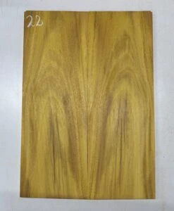 Osage Orange Guitar Drop Top 22-3/8" X 7-3/4" X 3/8" #22