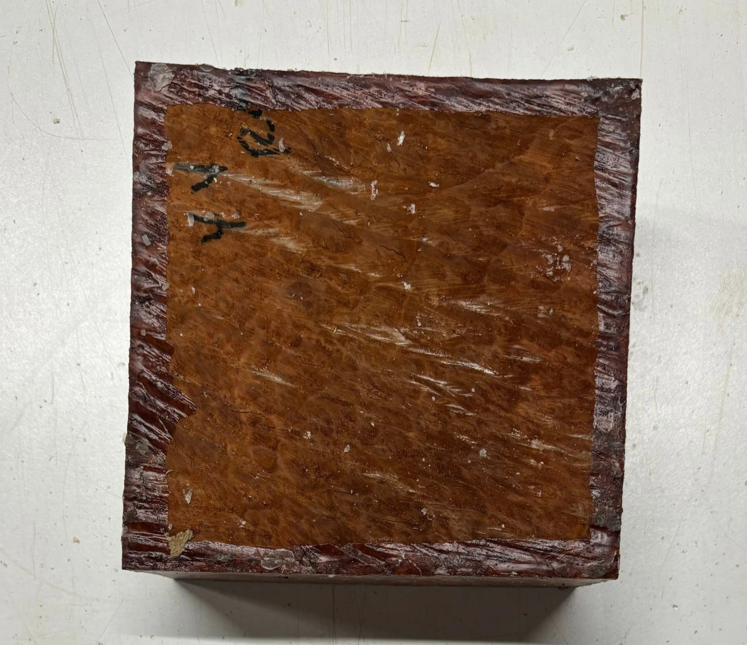 Australian Red Mallee Burl Wood Bowl Blank, 6" X 6" X 3" | #110 - Image 2