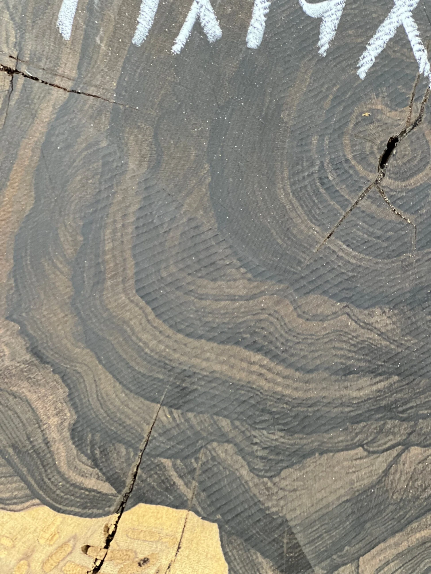 Ziricote Live Edge Slab/Cookies - 14"x 14"x 3" #208 - Image 3