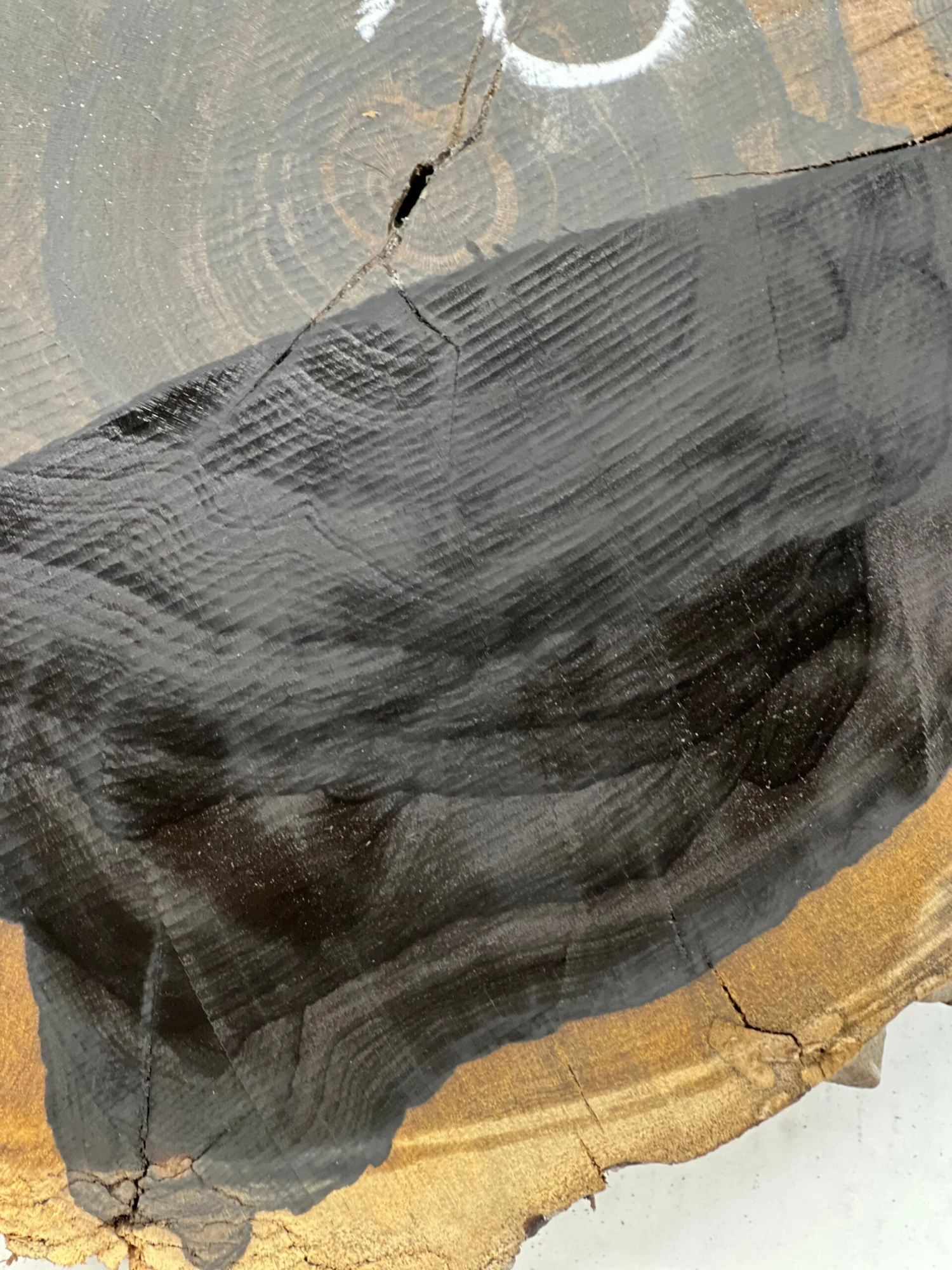 Ziricote Live Edge Slab/Cookies - 14"x 14"x 3" #208 - Image 4