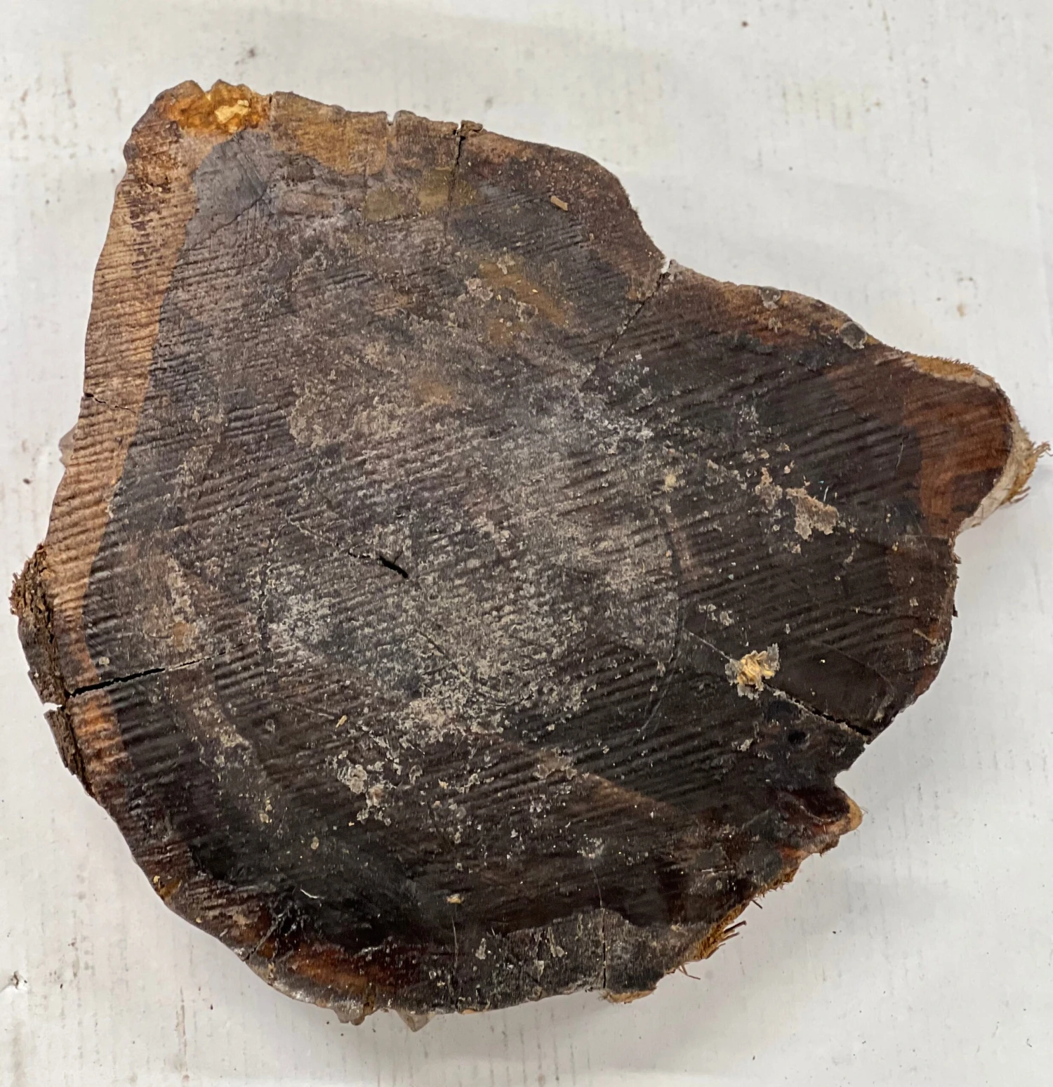 Ziricote Live Edge Slab/Cookies - 14"x 14"x 3" #208 - Image 5