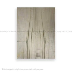 Ambrosia Maple Book Matched Guitar Carved Tops/Plates - 21” X 7” X 5/8”